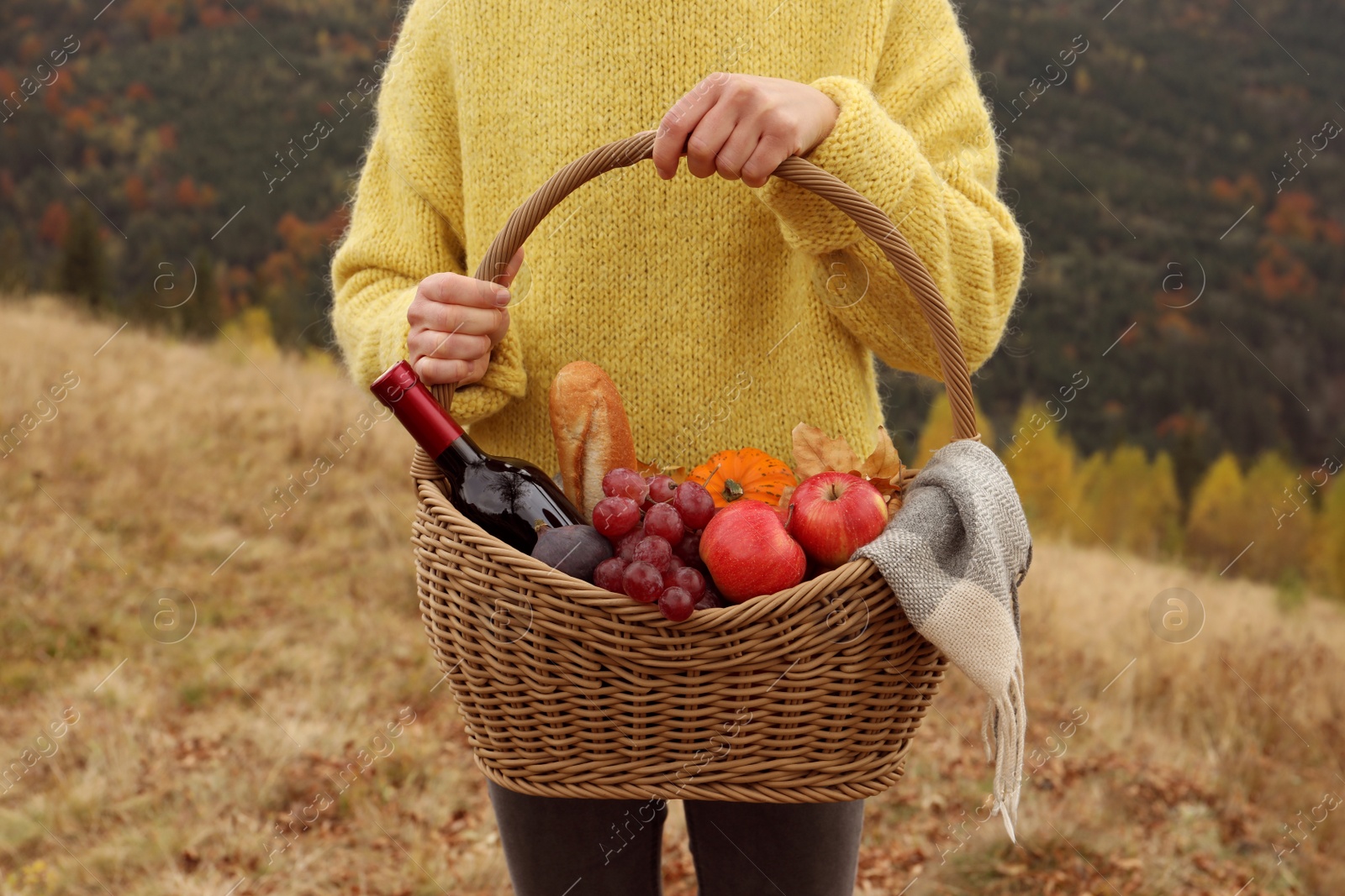 Photo of Woman holding picnic basket with wine and snacks outdoors on autumn day, closeup