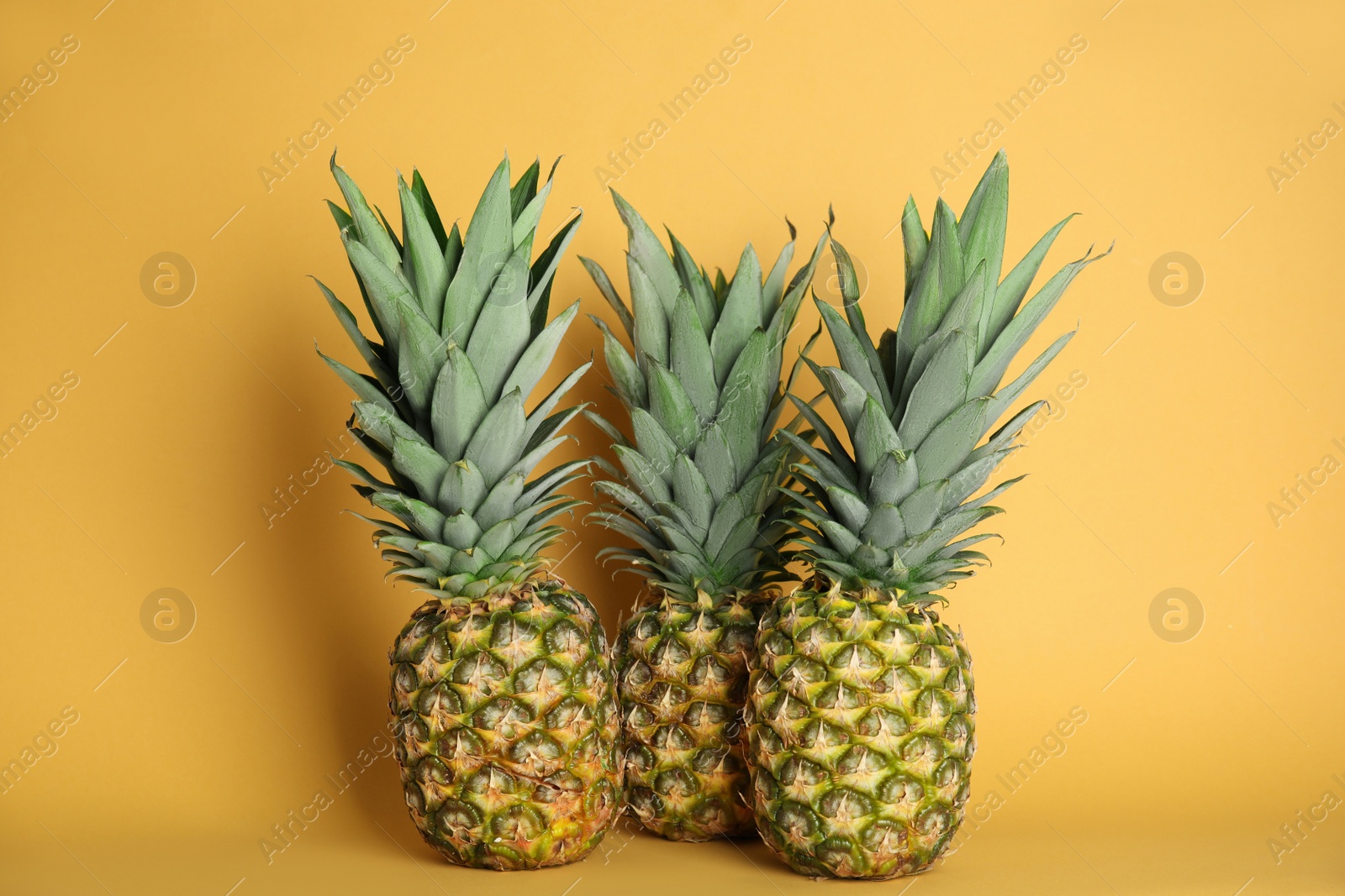 Photo of Fresh ripe juicy pineapples on orange background