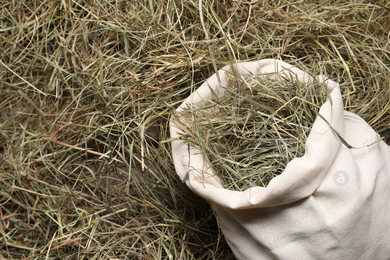 Photo of Dried hay in burlap sack on wooden table, top view. Space for text