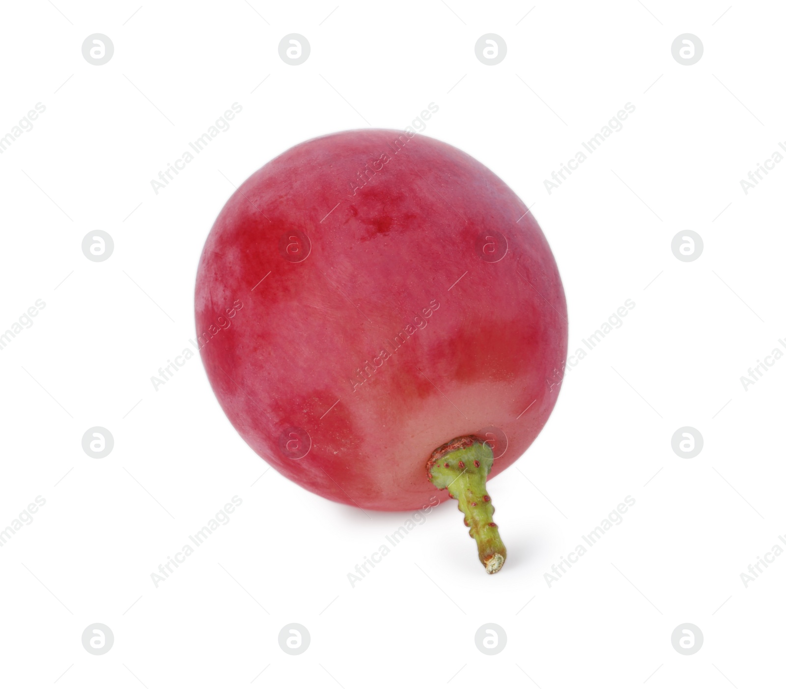 Photo of One ripe red grape isolated on white