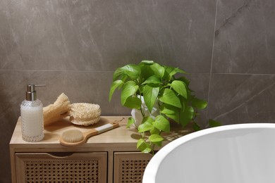 Photo of Body care products and plant near white tub in bathroom