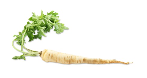 Photo of Tasty fresh ripe parsnip isolated on white