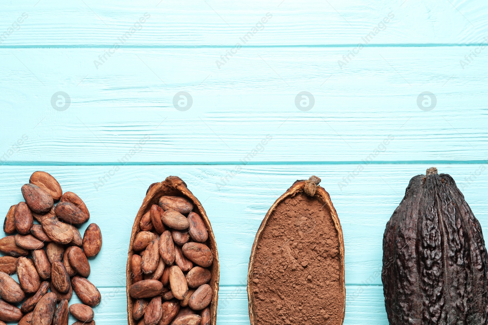 Photo of Cocoa beans, powder and pods on light blue table, flat lay. Space for text