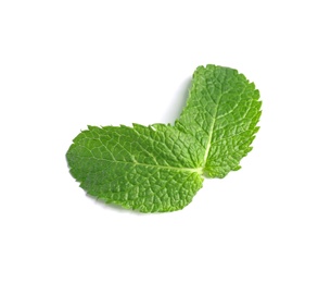 Fresh green mint leaves on white background