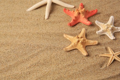 Photo of Beautiful sea stars on sand, space for text