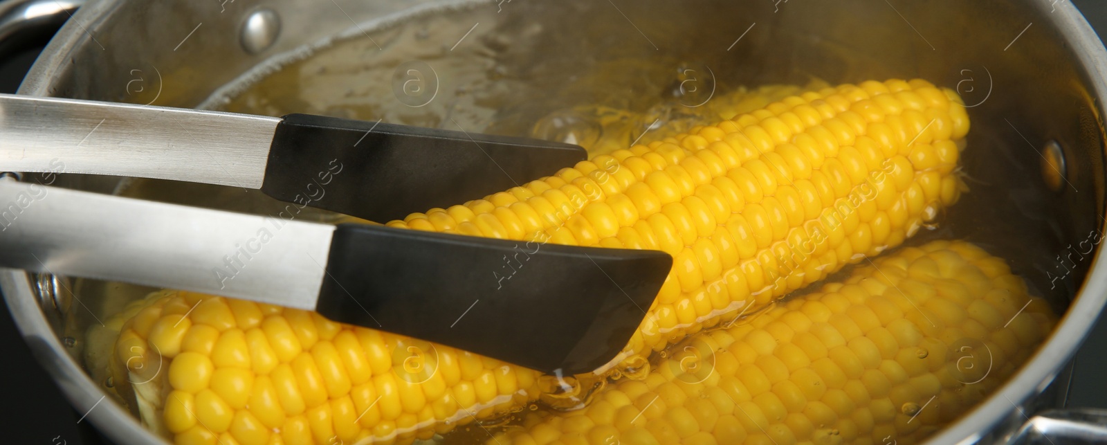 Image of Taking fresh corn cob from pot with hot water on stove, banner design