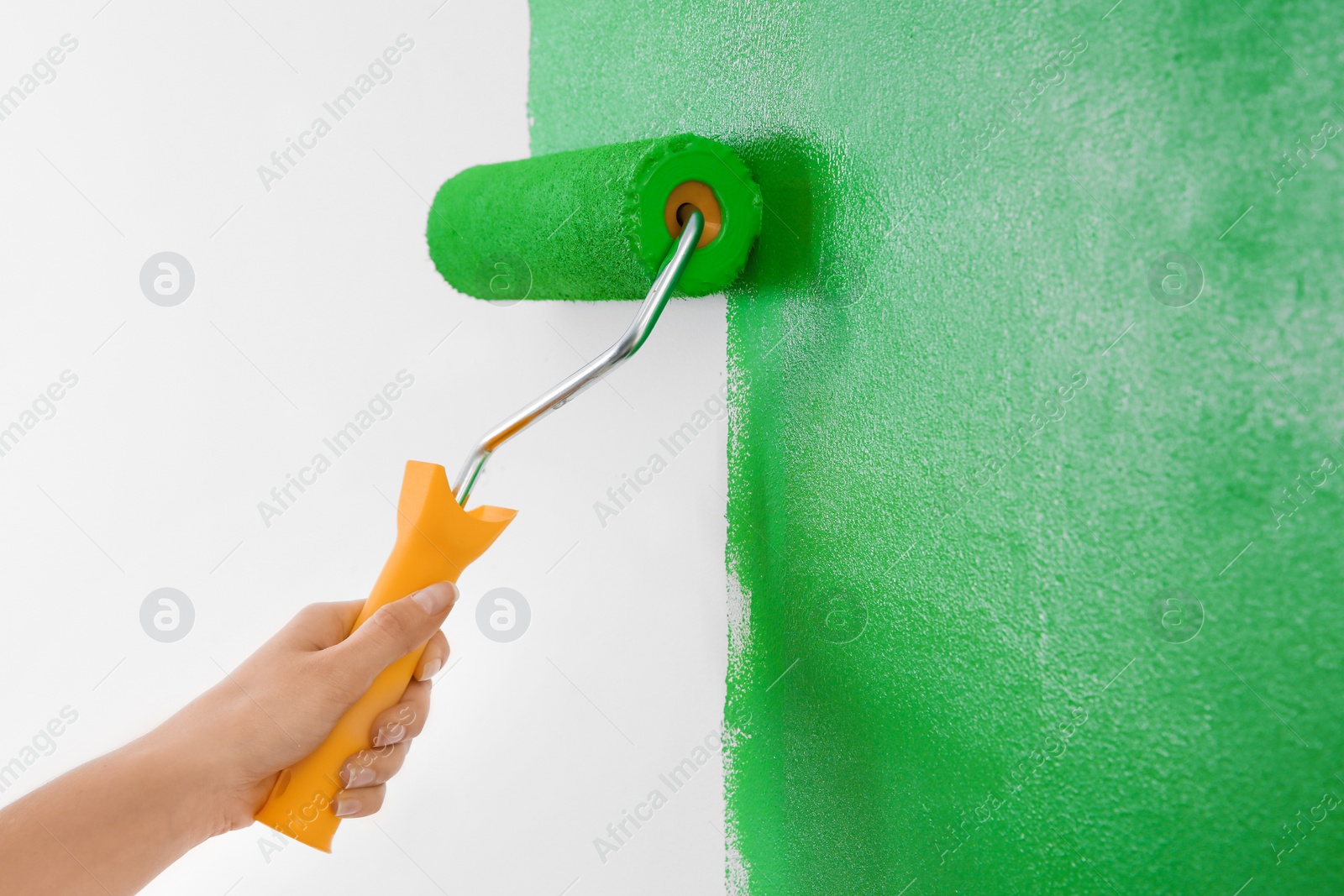 Photo of Woman painting white wall with green dye, closeup. Interior renovation