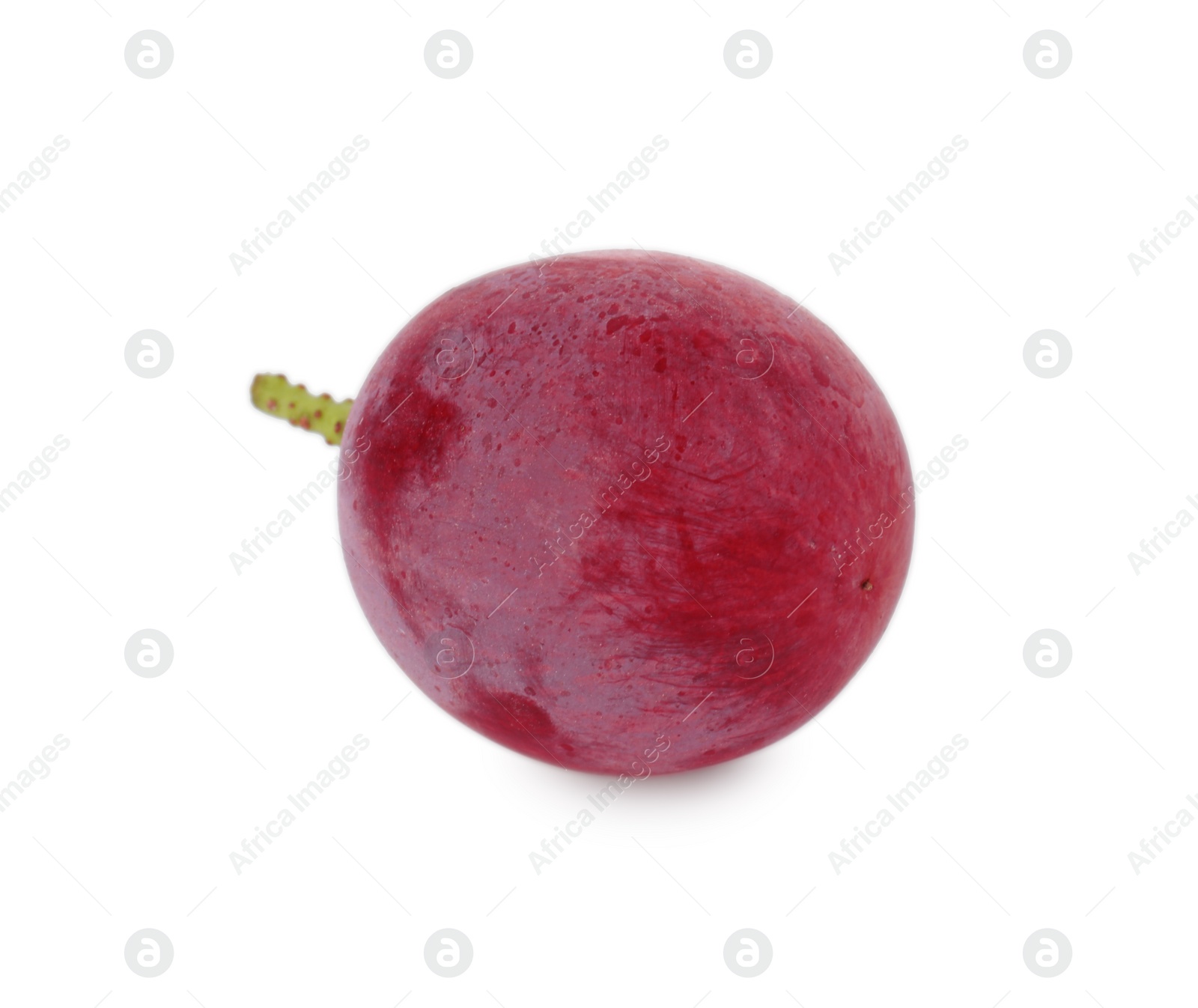 Photo of One ripe red grape isolated on white