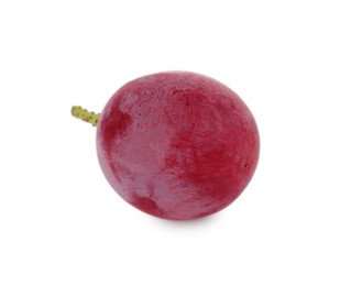 Photo of One ripe red grape isolated on white