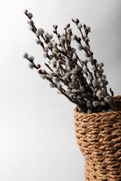 Photo of Beautiful blooming willow branches in woven bag on light grey background
