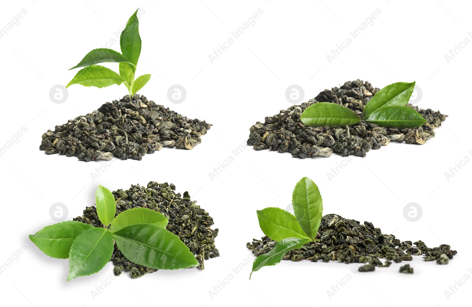 Image of Dry green tea and fresh leaves on white background, collage 