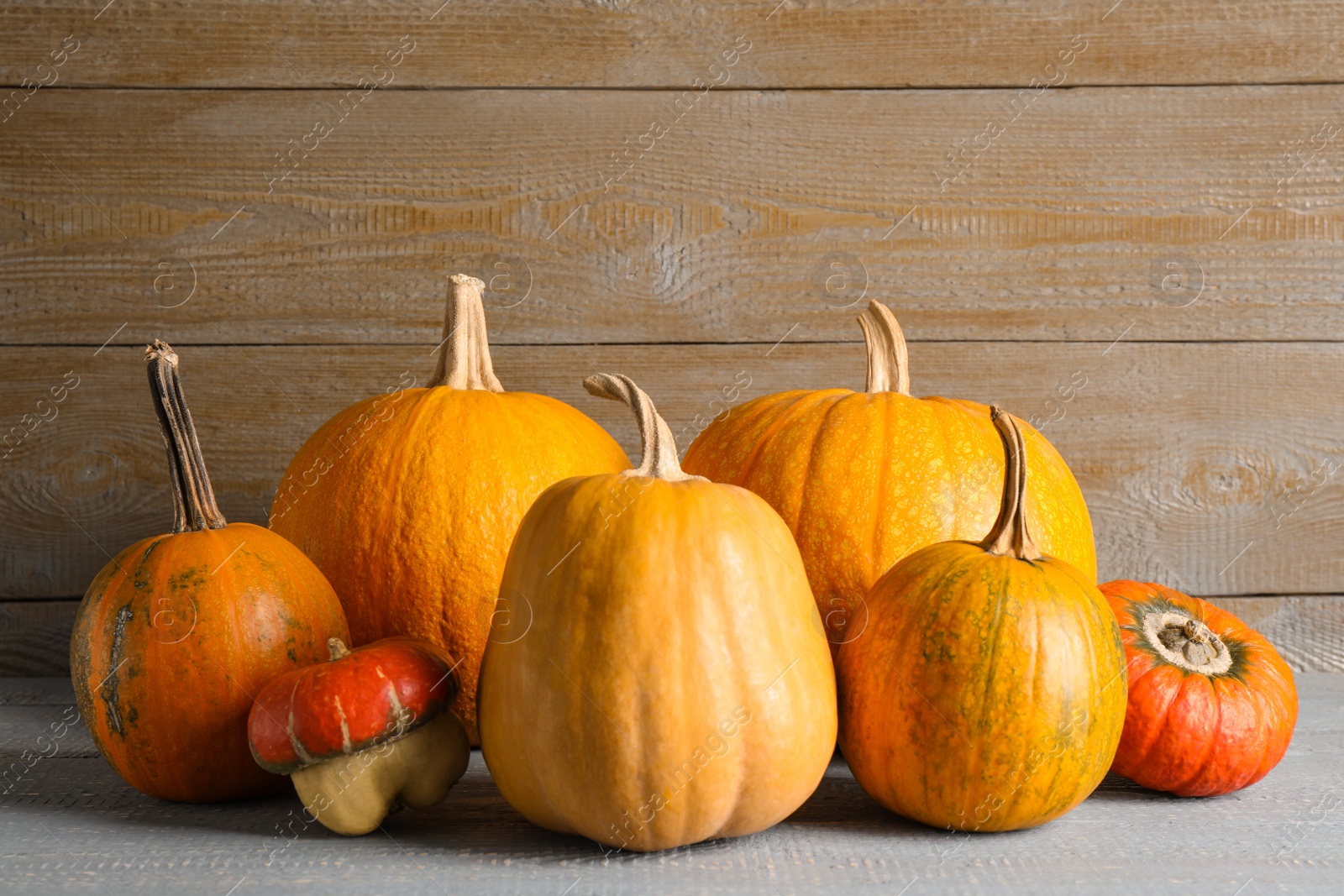 Photo of Many different ripe pumpkins on wooden table