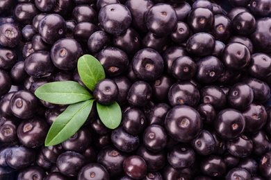 Fresh ripe acai berries as background, closeup