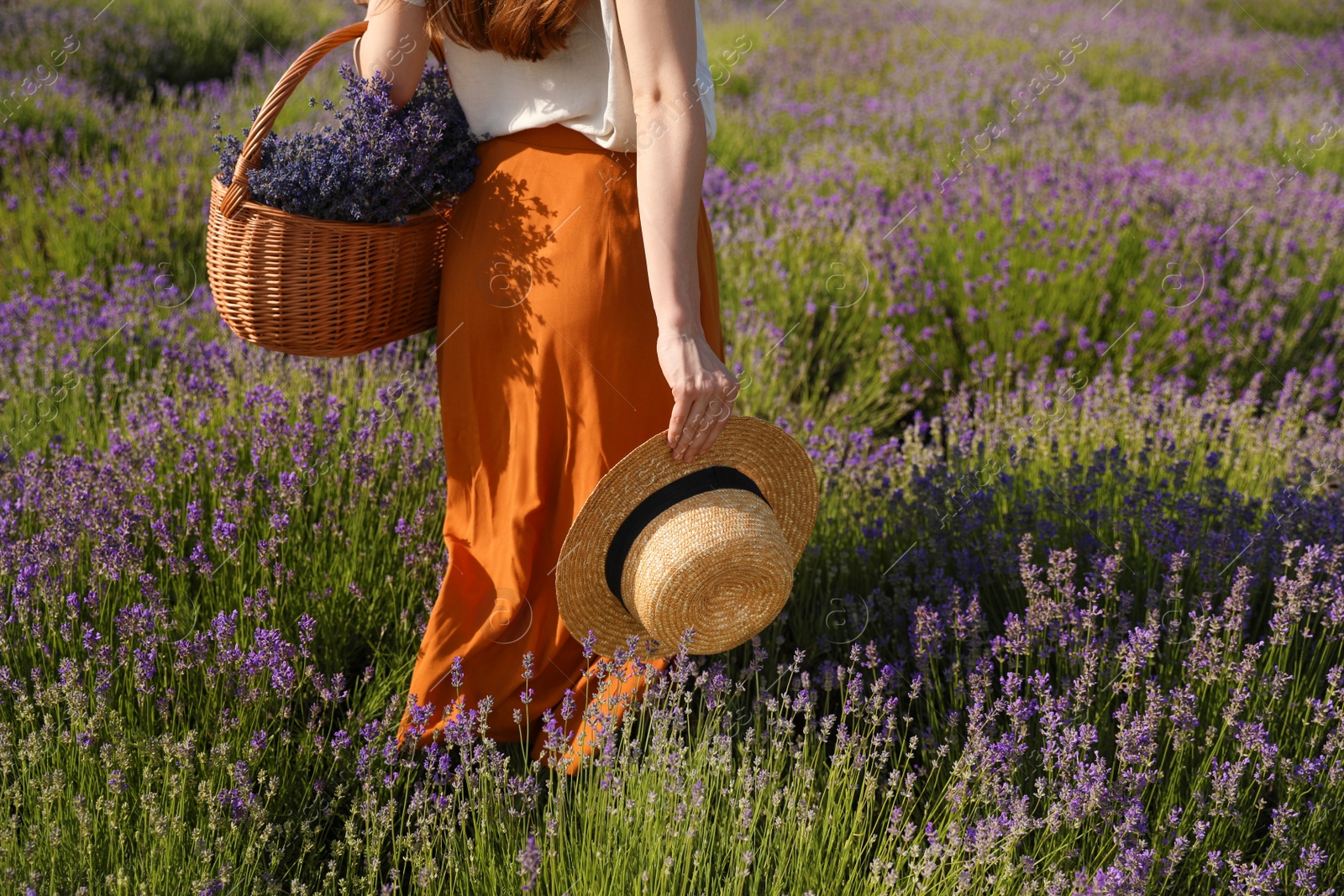 Photo of Young woman with straw hat and wicker basket full of lavender flowers in field, closeup