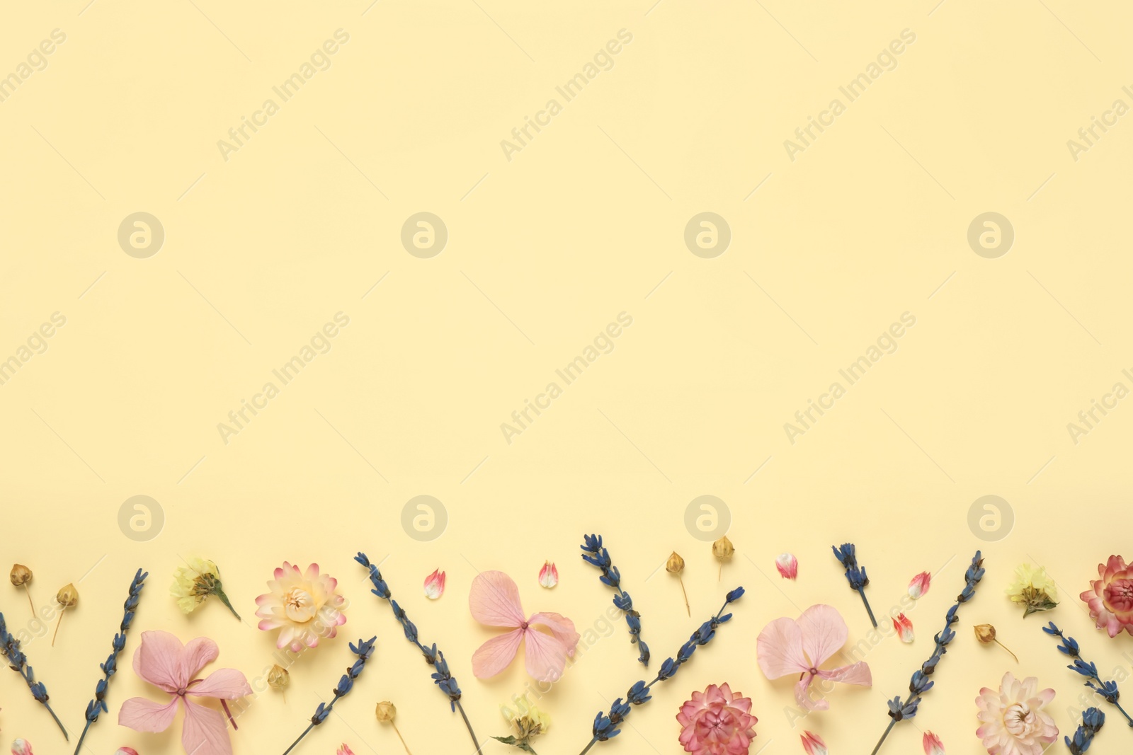 Photo of Flat lay composition with beautiful dried flowers on beige background. Space for text