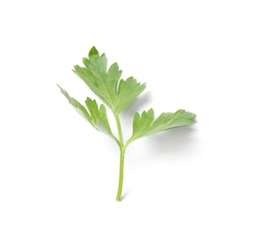 Fresh green organic parsley on white background