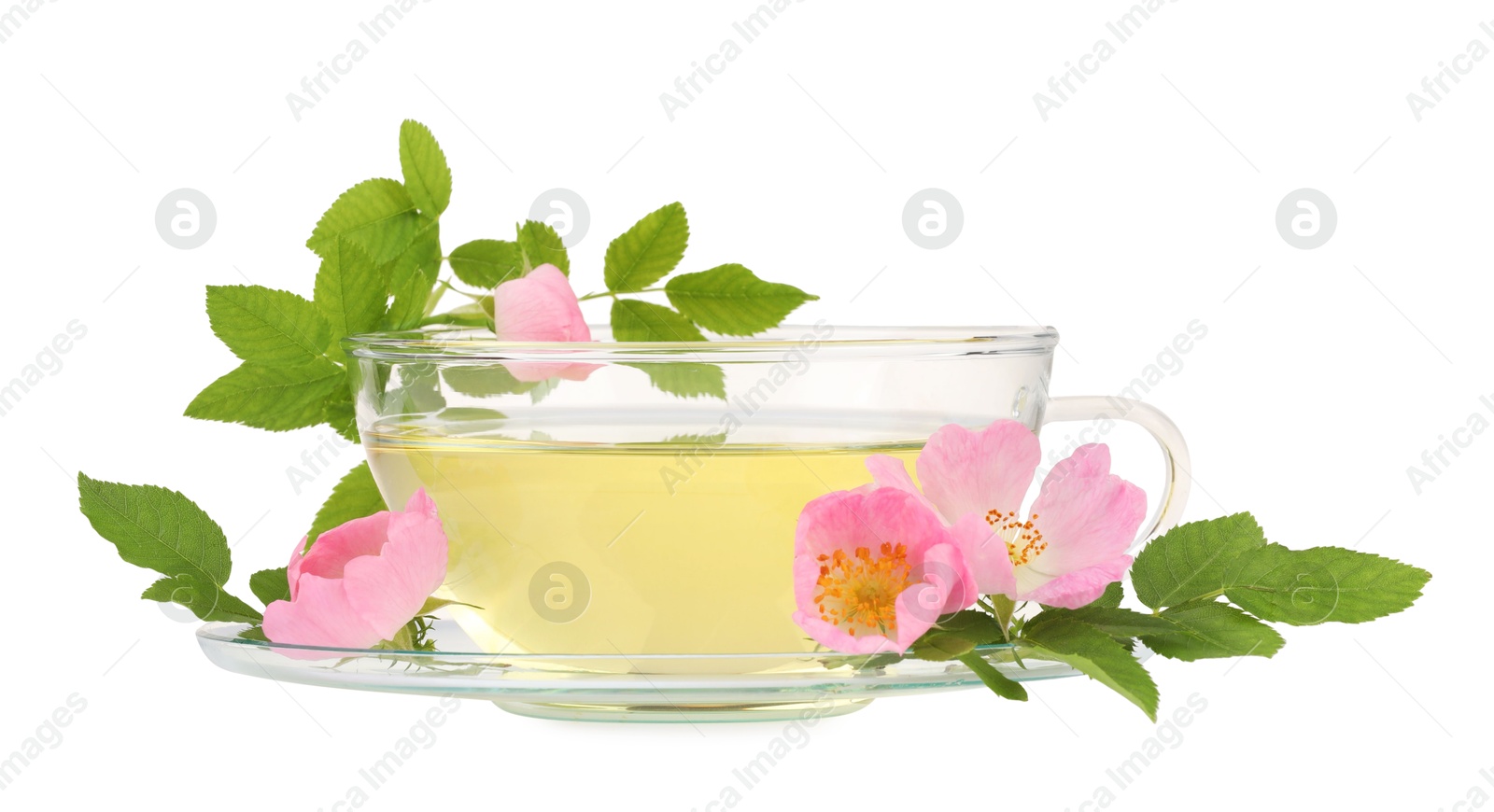 Photo of Aromatic herbal tea in glass cup, flowers and green leaves isolated on white