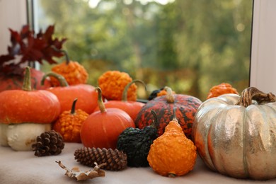 Photo of Different pumpkins and pine cones on window sill indoors