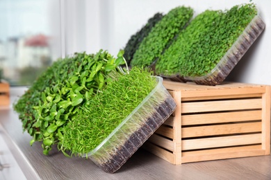 Photo of Fresh organic microgreens assortment on wooden table