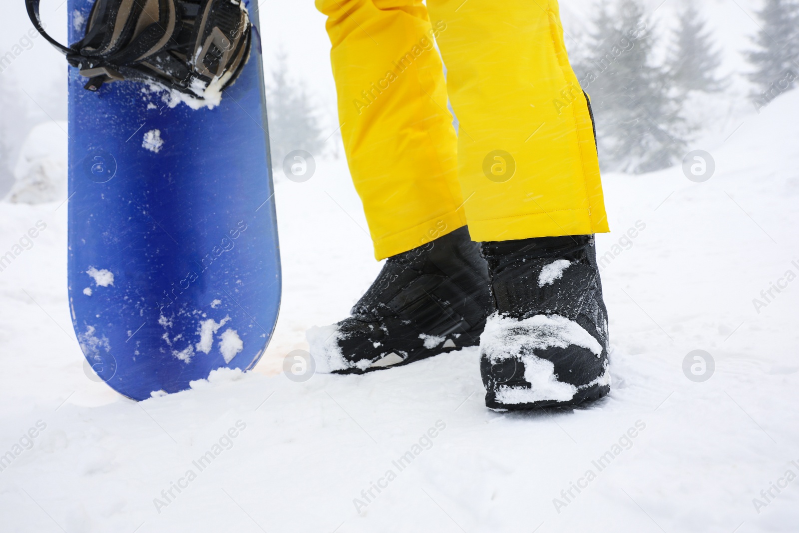 Photo of Young woman with snowboard wearing winter sport clothes outdoors, closeup