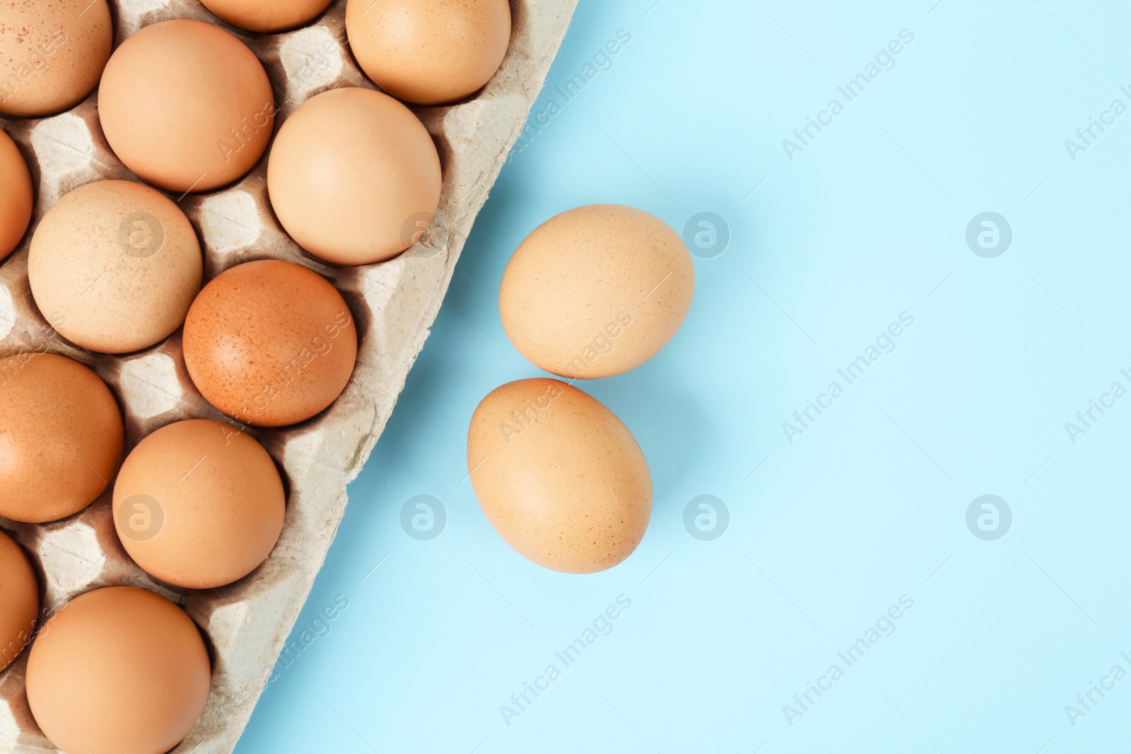 Photo of Raw chicken eggs on light blue background, flat lay