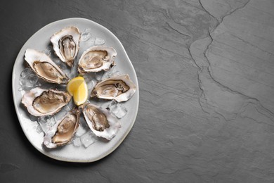 Photo of Delicious fresh oysters with lemon slices served on black slate table, top view. Space for text