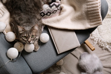 Photo of Warm sweater and cat on armchair indoors, flat lay