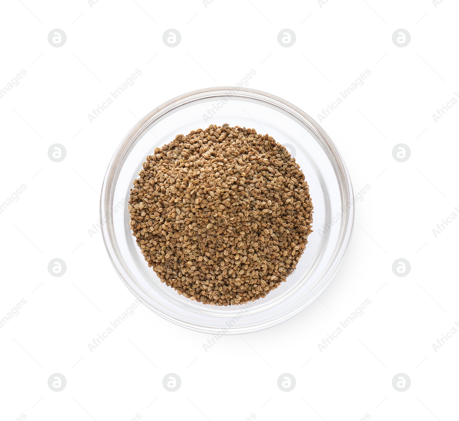 Photo of Bowl of celery seeds isolated on white, top view