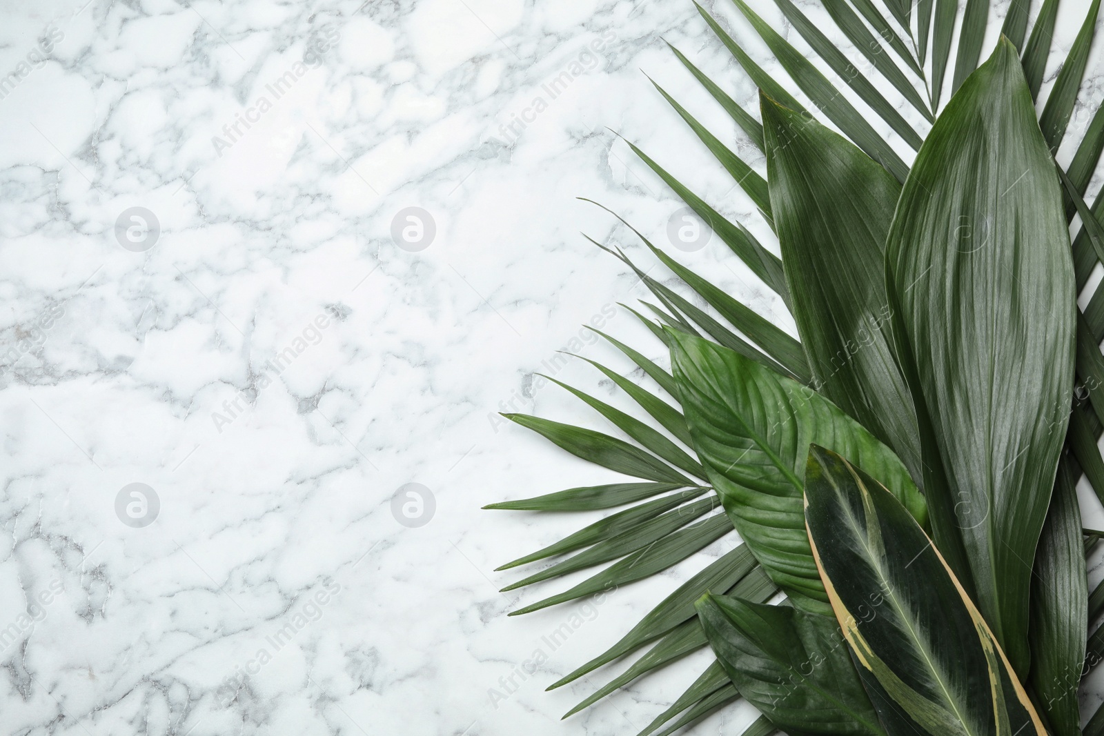 Photo of Flat lay composition with tropical leaves and space for text on marble background