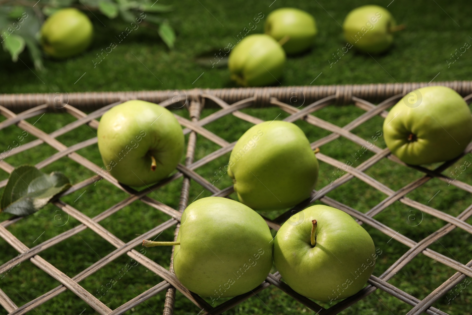 Photo of Many fresh green apples on rattan grid