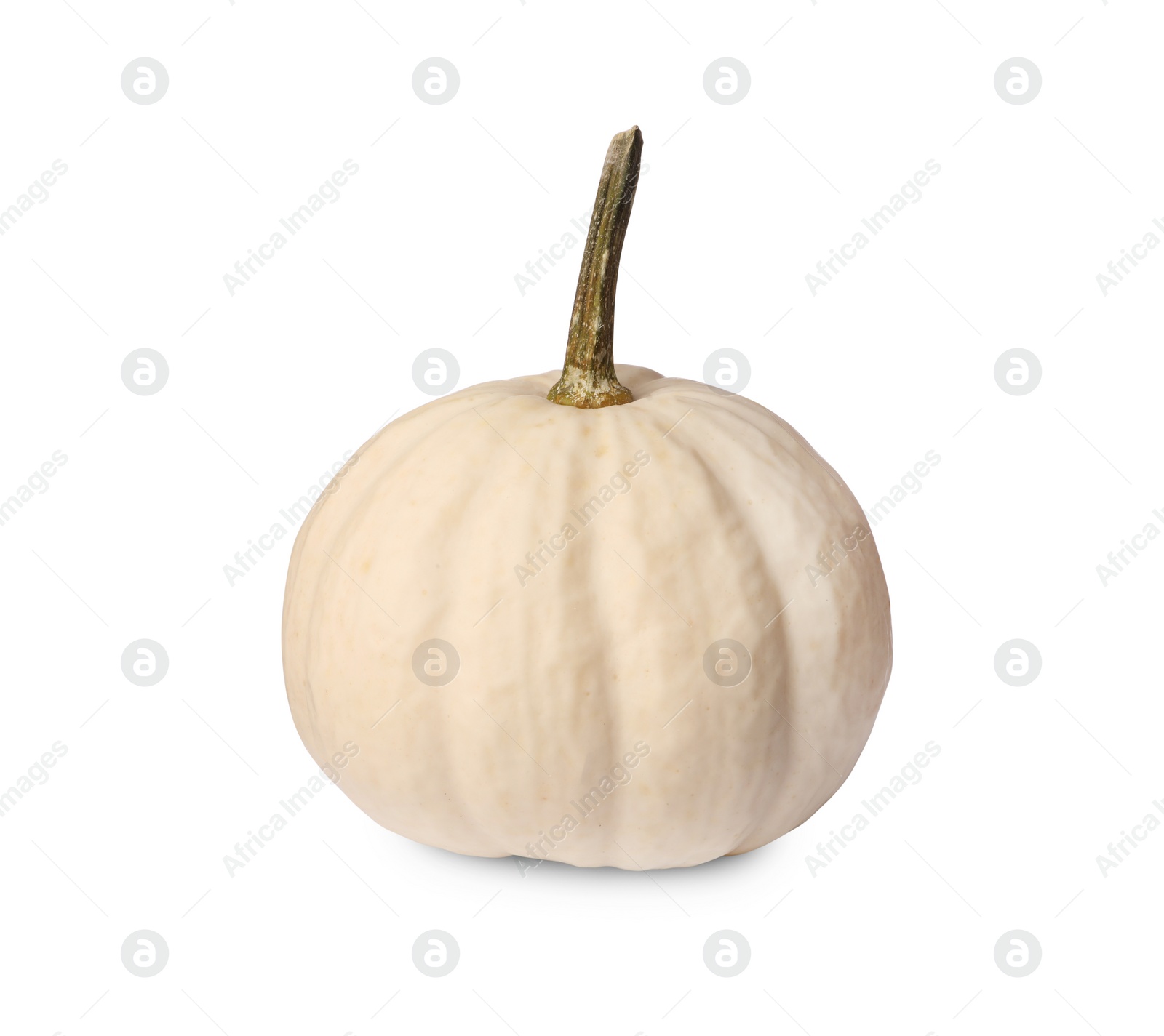 One fresh ripe pumpkin isolated on white Photo of One fresh ripe pumpkin isolated on white