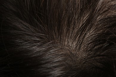 Photo of Man with healthy dark hair, macro view