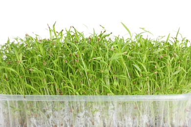 Photo of Fresh organic microgreen on white background, closeup