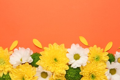 Photo of Beautiful chrysanthemum flowers on orange background, flat lay. Space for text