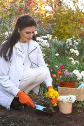 Photo of Woman transplanting yellow flowers into fresh soil in garden