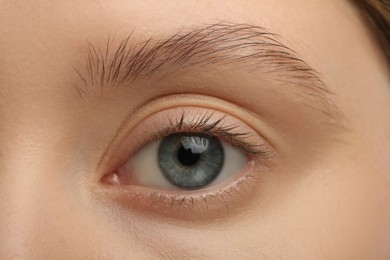 Photo of Woman with beautiful natural eyelashes, closeup view