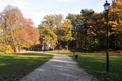 Photo of Picturesque view of park with beautiful trees and pathway on sunny day. Autumn season