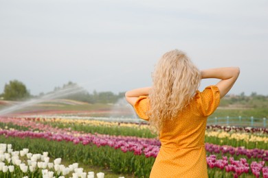 Photo of Woman in beautiful tulip field, back view