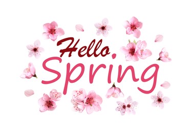 Image of Hello Spring card design with beautiful pink flowers on white background