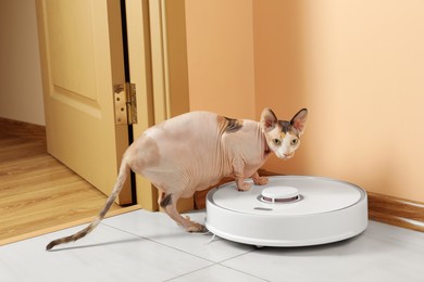 Photo of Robotic vacuum cleaner and cute Sphynx cat on floor indoors