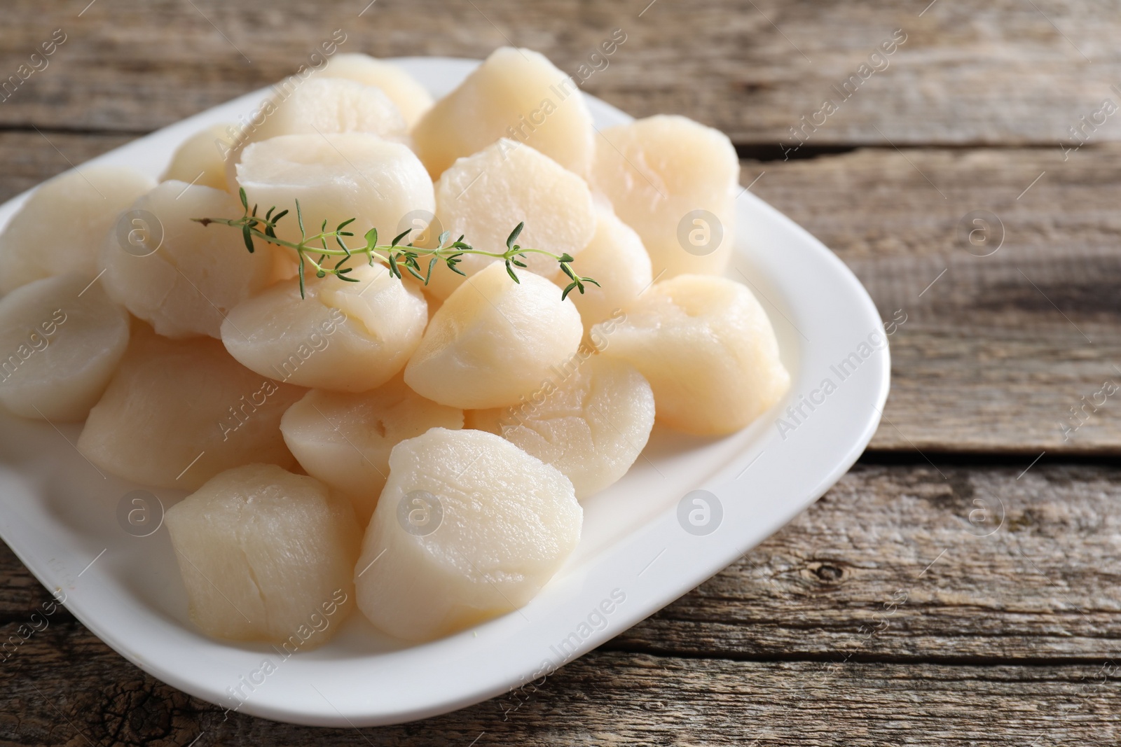 Photo of Fresh raw scallops and thyme on wooden table, closeup. Space for text