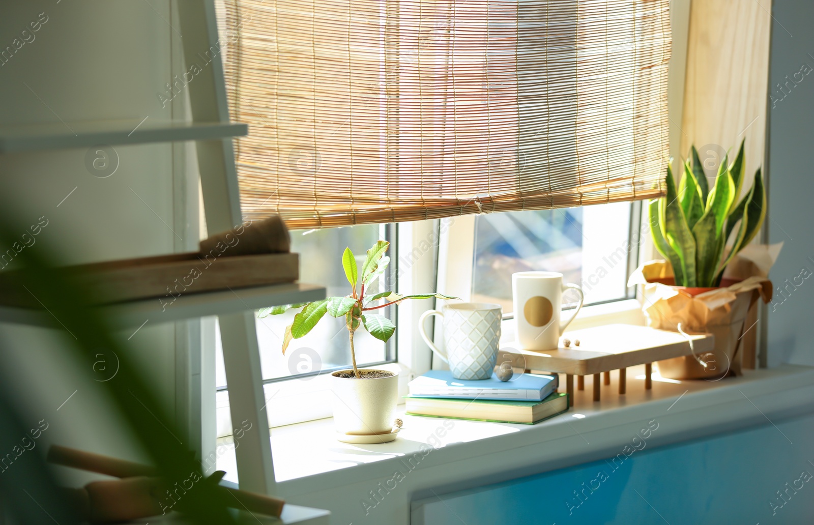 Green houseplants on window sill in room. Stylish interior Photo of Green houseplants on window sill in room. Stylish interior