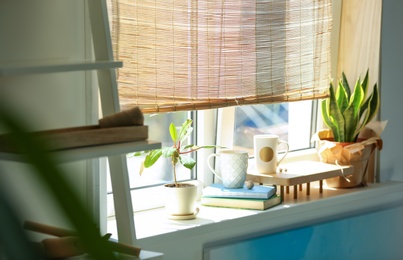 Photo of Green houseplants on window sill in room. Stylish interior