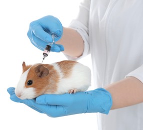 Photo of Scientist with syringe and guinea pig on white background, closeup. Animal testing concept