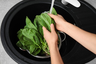 Photo of Woman washing fresh green healthy spinach in sink, closeup
