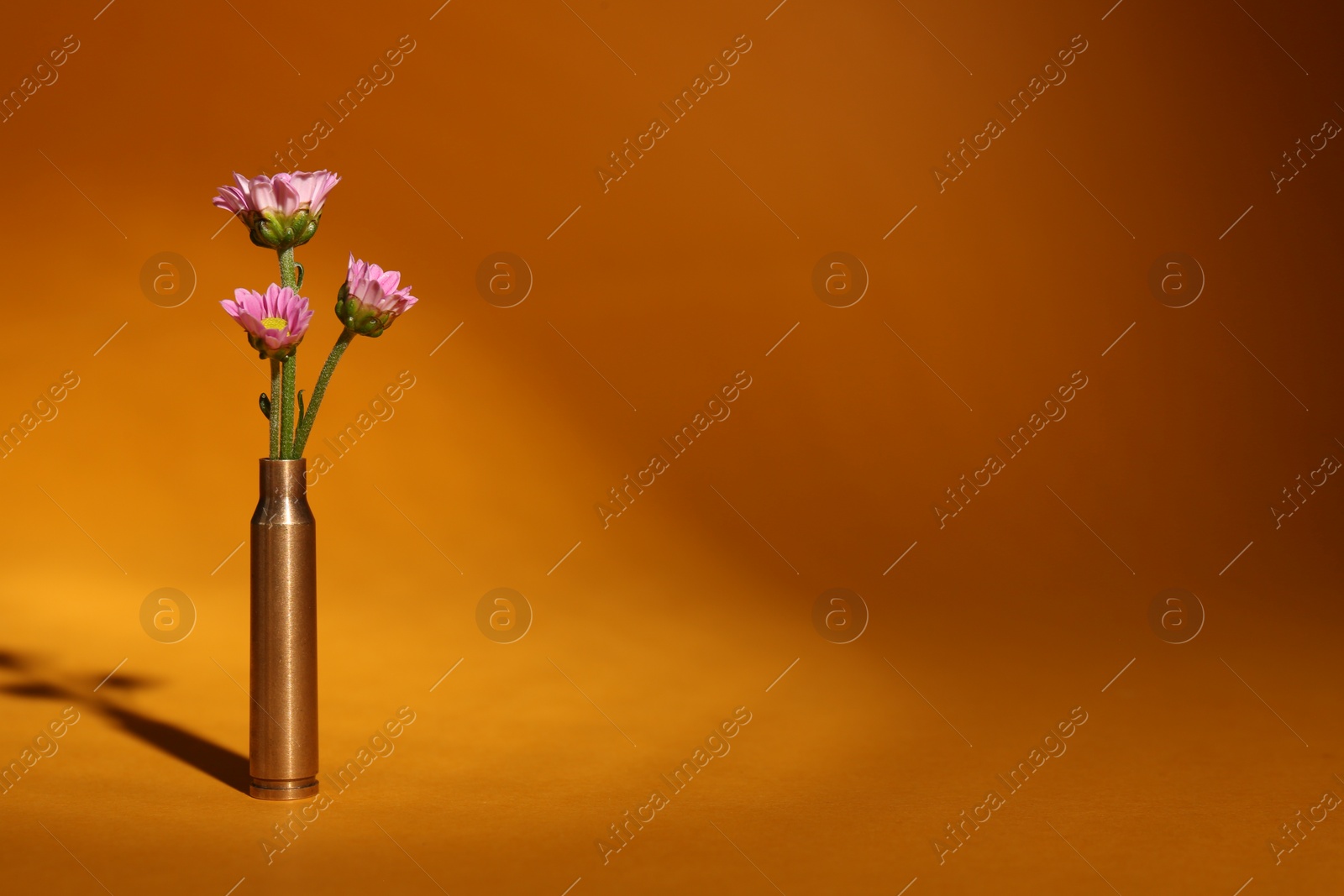 Photo of Bullet cartridge case and beautiful chrysanthemum flowers on orange background, space for text