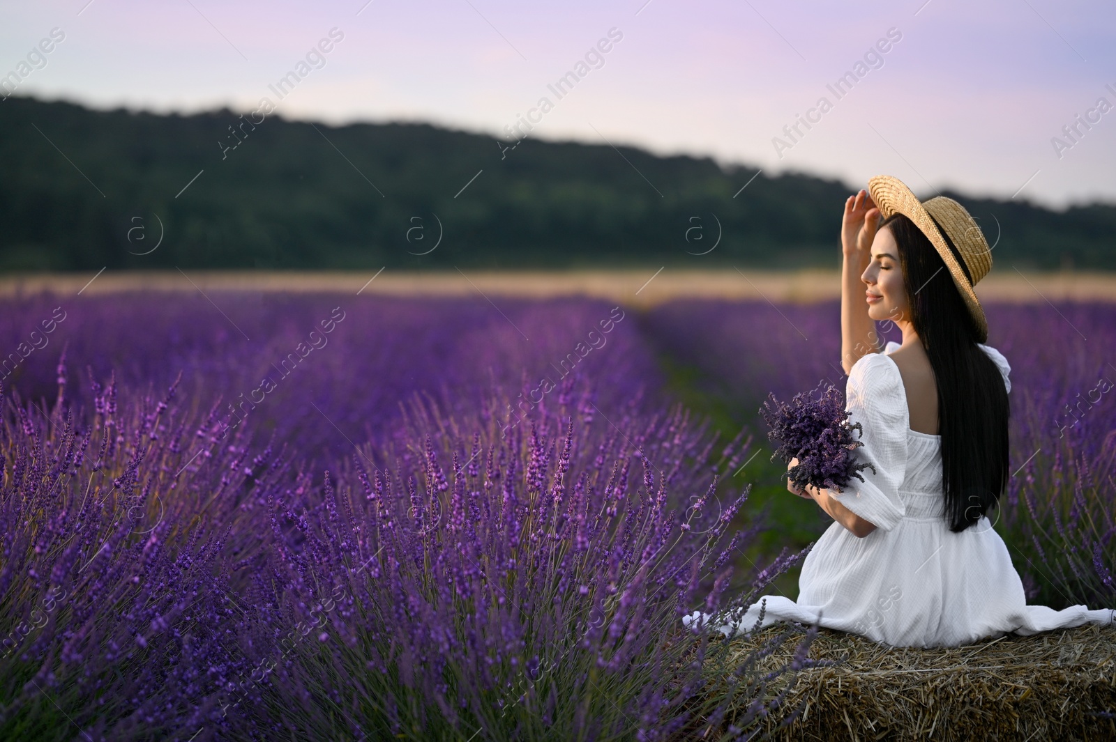 Photo of Woman sitting on hay bale in lavender field, back view