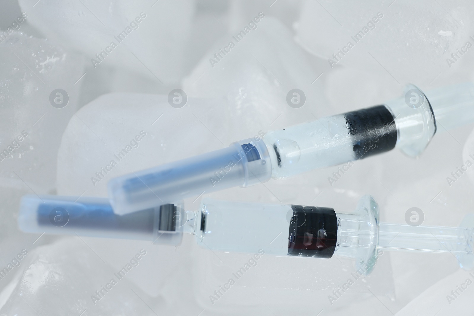 Photo of Syringes with COVID-19 vaccine on ice cubes, closeup