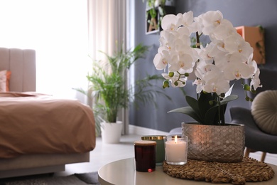 Photo of Beautiful white orchids and candles on table in room, space for text. Interior design