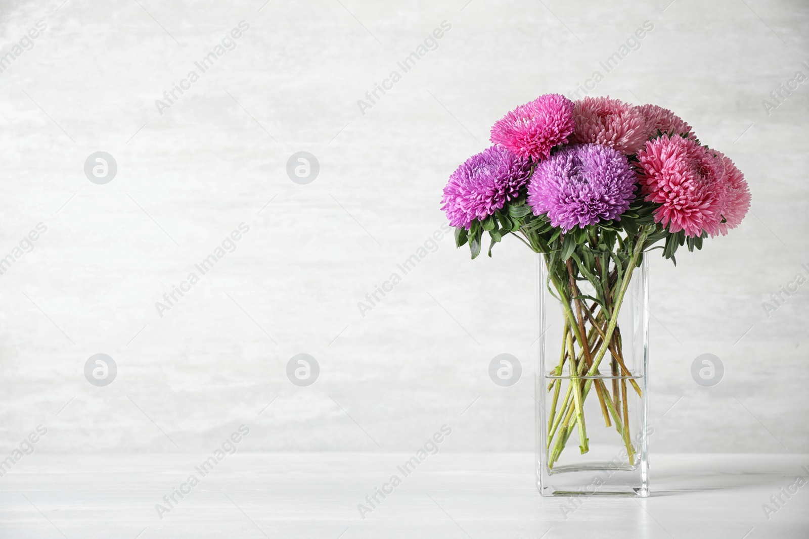 Photo of Glass vase with beautiful aster flowers on table against light background. Space for text